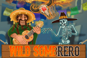Wild Sombrero